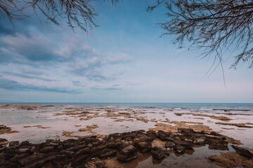 Panoramic view of rocky beach with tree branches in the foreground and sky with clouds