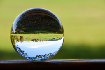 Green landscape reflected in a sphere