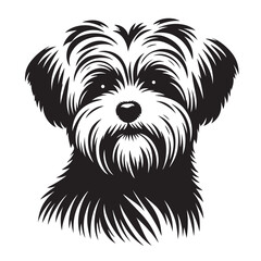 Maltese Dog Silhouettes in Sitting, Standing, Jumping positions, Maltese face silhouettes clean vector outlines, isolated on white background, cute dog puppy with hair, cuteness