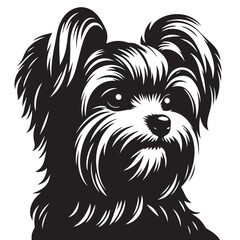 Maltese Dog Silhouettes in Sitting, Standing, Jumping positions, Maltese face silhouettes clean vector outlines, isolated on white background, cute dog puppy with hair, cuteness