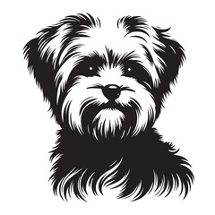 Maltese Dog Silhouettes in Sitting, Standing, Jumping positions, Maltese face silhouettes clean vector outlines, isolated on white background, cute dog puppy with hair, cuteness