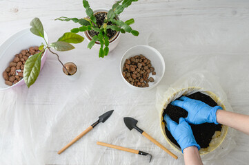 Female hands in gloves pour soil into a pot. - 760641286