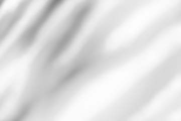 Blurred shadow leaves on white wall background well multiply overlay 