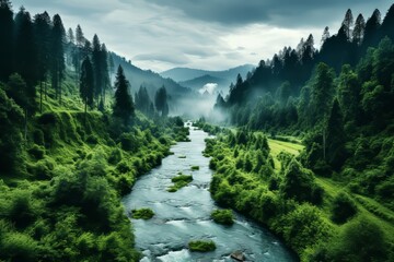 Ethereal hyper realistic british mountainscape with fog, trees, and stunning panoramas - obrazy, fototapety, plakaty