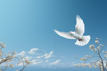 Obraz premium white dove flying free on light and soft blue and white background for freedom and relax design