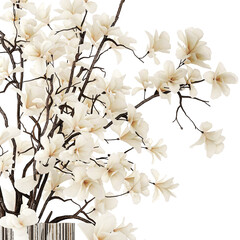 White bouquet of branches of blooming magnolia vase isolated on white background