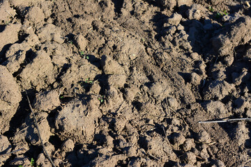 sample of dry and brown soil isolated in sunny day wallpaper