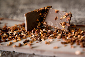 Dark chocolate with dried raspberries, sour cherries and chopped cocoa beans