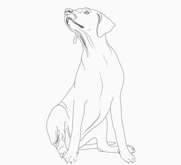Dog line drawing vector illustration. Dog digital art.