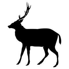 deer icon, simple vector design