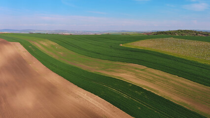 Green wavy hills with agricultural fields