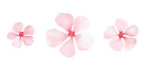 A set of pink almond and sakura flowers isolated on a white background, hand-drawn. Botanical watercolor illustration of spring flowers. An element for a holiday, decoration, design.  © Svitlana