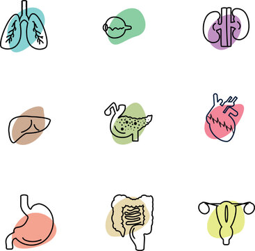 human organs icons