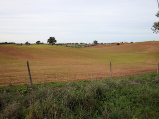 fazenda