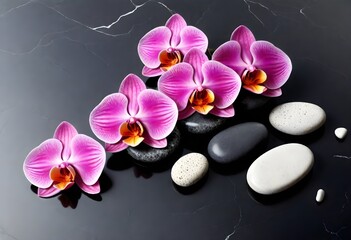 Obraz na płótnie Canvas Several pink orchids with a mix of black, white, and grey stones on a dark textured surface