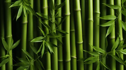 Foto auf Acrylglas bamboo background close up  © Johannes