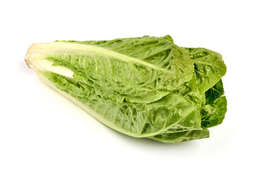 Fresh green Romaine Lettuce (Lactuca sativa), isolated on the white background.