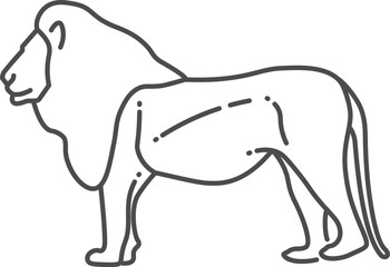Lion line icon. Wild african predator animal