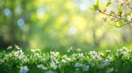 Foto op Canvas  Beautiful blurred spring background nature with blooming glade,  © venusvi