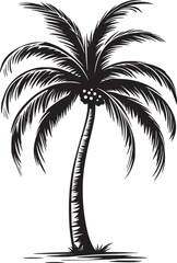 Palm tree vector black and white