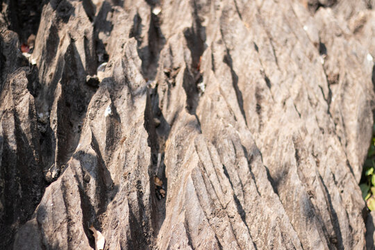 Sharpe rocks due to weathering