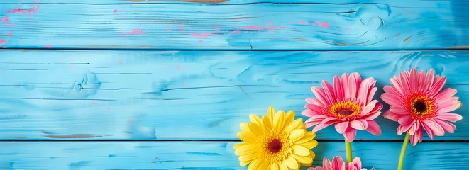 Fototapeten Beautiful pink and yellow gerbera daisies on blue wooden background © Andy