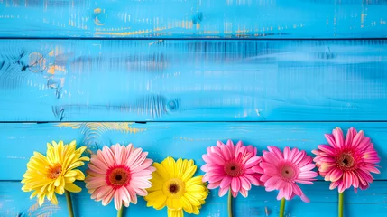 Küchenrückwand glas motiv Beautiful pink and yellow gerbera daisies on blue wooden background © Andy