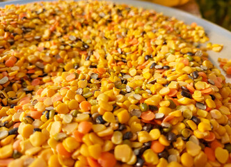 Closeup of yellow pulses, food grains and lentils photography, protein rich food background, legumes backdrop wallpaper