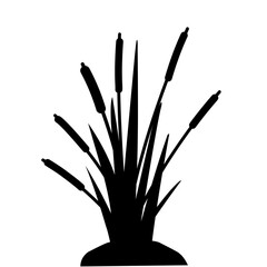 Lake Swamp Bush Silhouette