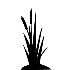 Lake Swamp Bush Silhouette