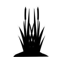 Lake Swamp Bush Silhouette