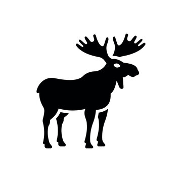 adult moose go black silhouette icon vector illustration