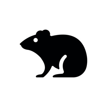 rodent icon vector illustration
