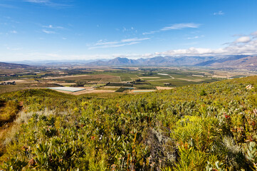 Beautiful mountains and hills near Worcester, Breede River Valley, South Africa.