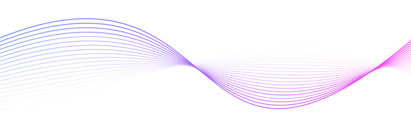 Abstract lines background isolated, purple blue and green twisted curve lines, undulate wave - 760693010