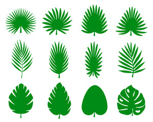 Tropical leaves set. Palm leaves silhouettes isolated, green leafs, environment and nature eco sign - 760694283