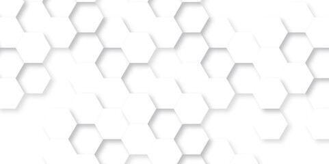 Abstract background with squares. Background with hexagons. Abstract background with lines. white texture background. white and hexagon abstract background. white paper texture and futuristic. - obrazy, fototapety, plakaty