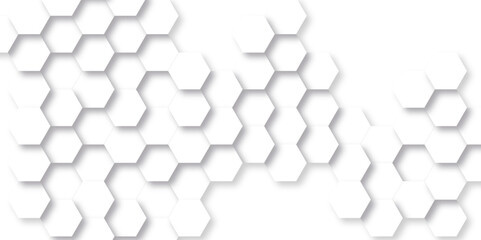 Fototapeta premium Abstract background with squares. Background with hexagons. Abstract background with lines. white texture background. white and hexagon abstract background. white paper texture and futuristic.