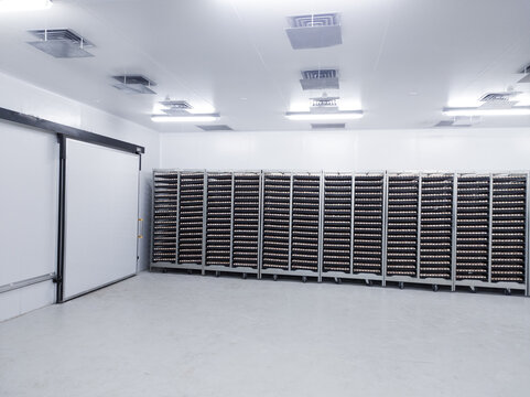  Several trolleys contain hatching eggs in the egg storage room so that the temperature of the eggs is maintained with Ceilling air vent on the cooling storage room before on hatching process.
