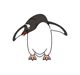 Subantarctic penguin or gentoo penguins. Animal, bird, avian, feathered, antarctica and nature, illustration