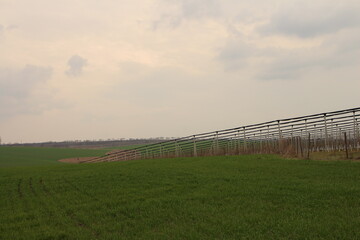 Fototapeta premium A fenced in field with a fence and a fence