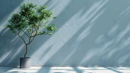 Decorative Indoor Tree Casting Soft Shadows on a Textured Wall