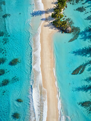 A drone shot of the most beautiful Caribbean beach, white sand, palm trees, crystal clear ocean,...
