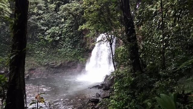 third carbet waterfall in basse terre, guadeloupe. Powerful tropical cascade in the jungle, high flow after rainfall. hd video