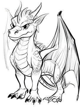 dragon.Black and white drawing. coloring books for girls