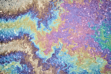Oil residues on wet asphalt interact with sunlight, displaying a rainbow-like spectrum of colors.