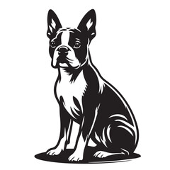 Boston Terrier dog Silhouettes, Boston Terrier dog sitting pose silhouettes, Boston Terrier dog Standing and jumping silhouettes, cute dog on white background, Boston Terrier