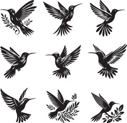 Humming bird silhouette vector illustration set