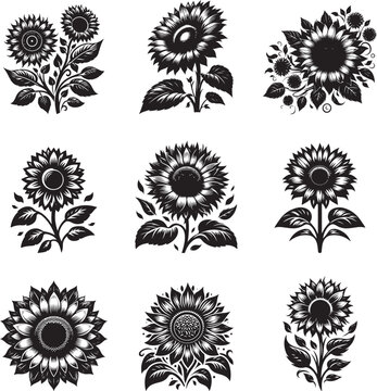 Sun flower silhouette vector illustration set
