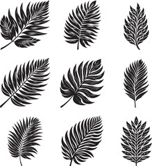 Tropical leaf silhouette vector illustration set